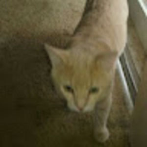 Meet your Posher, Scott